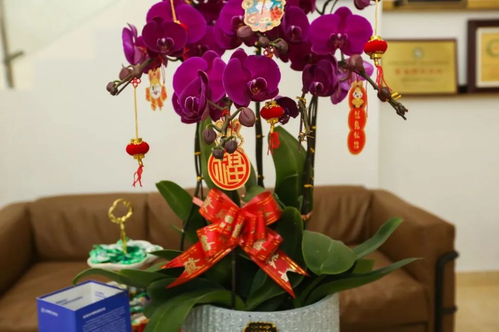 星之聲 | 新開序章,揚帆起航!插圖(2) 星之聲 | 新開序章,揚帆起航!插圖(2)